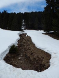 Söllereck - Sattelkopf - Hochleite - Schwand - Freibergsee