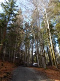 Söllereck - Sattelkopf - Hochleite - Schwand - Freibergsee