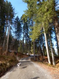 Söllereck - Sattelkopf - Hochleite - Schwand - Freibergsee