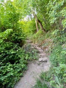 Mittelrhein-Klettersteig Boppard