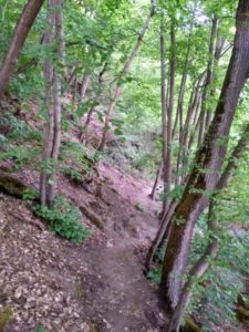 Mittelrhein-Klettersteig Boppard