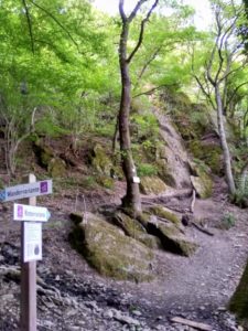 Mittelrhein-Klettersteig Boppard