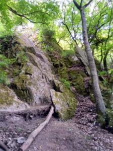 Mittelrhein-Klettersteig Boppard