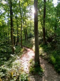 Mittelrhein-Klettersteig Boppard