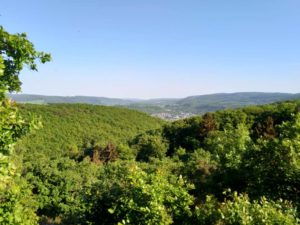 Mittelrhein-Klettersteig Boppard