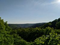 Mittelrhein-Klettersteig Boppard