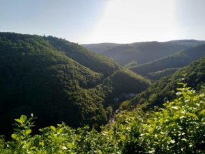 Mittelrhein-Klettersteig Boppard