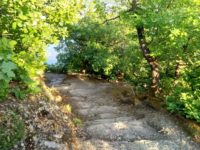 Mittelrhein-Klettersteig Boppard