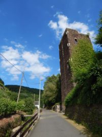 Collis-Steilpfad mit Klettersteig über Zell an der Mosel