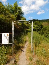 Collis-Steilpfad mit Klettersteig über Zell an der Mosel