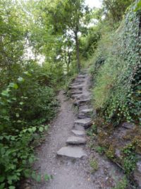 Collis-Steilpfad mit Klettersteig über Zell an der Mosel