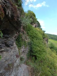 Collis-Steilpfad mit Klettersteig über Zell an der Mosel