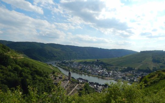 Collis-Steilpfad mit Klettersteig über Zell an der Mosel