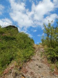 Collis-Steilpfad mit Klettersteig über Zell an der Mosel