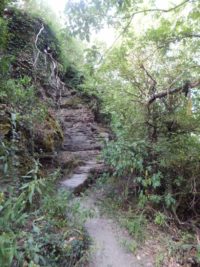 Collis-Steilpfad mit Klettersteig über Zell an der Mosel