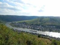 Collis-Steilpfad mit Klettersteig über Zell an der Mosel