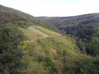 Collis-Steilpfad mit Klettersteig über Zell an der Mosel
