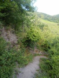 Collis-Steilpfad mit Klettersteig über Zell an der Mosel