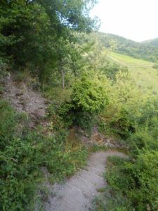 Collis-Steilpfad mit Klettersteig über Zell an der Mosel