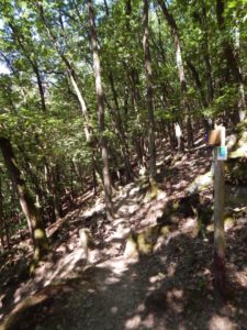 Traumschleife Altlayer Schweiz im Hunsrück