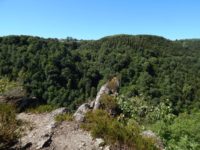 Traumschleife Altlayer Schweiz im Hunsrück