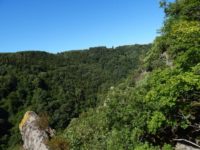 Traumschleife Altlayer Schweiz im Hunsrück