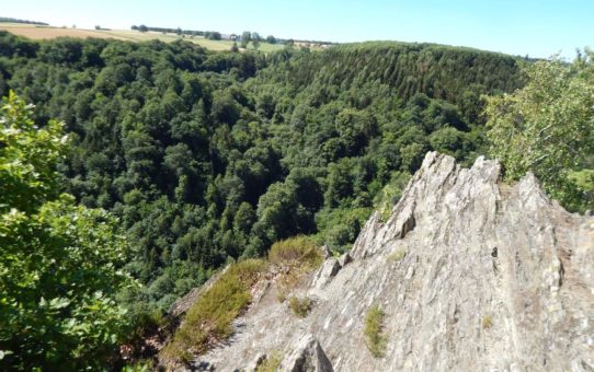 Traumschleife Altlayer Schweiz im Hunsrück