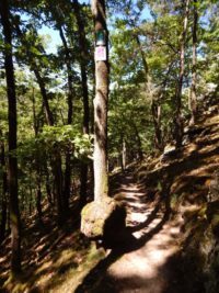 Traumschleife Altlayer Schweiz im Hunsrück