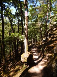 Traumschleife Altlayer Schweiz im Hunsrück