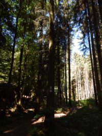 Traumschleife Altlayer Schweiz im Hunsrück