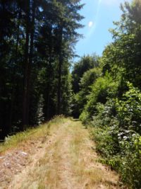 Traumschleife Altlayer Schweiz im Hunsrück