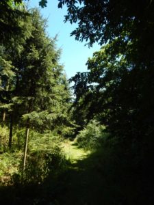Traumschleife Altlayer Schweiz im Hunsrück