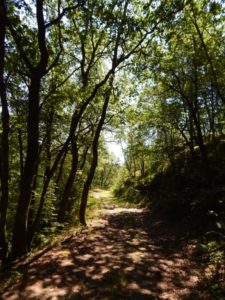 Traumschleife Hunolsteiner Klammtour Wanderung Hunsrück