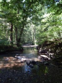 Traumschleife Hunolsteiner Klammtour Wanderung Hunsrück