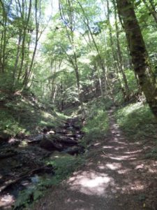 Traumschleife Hunolsteiner Klammtour Wanderung Hunsrück