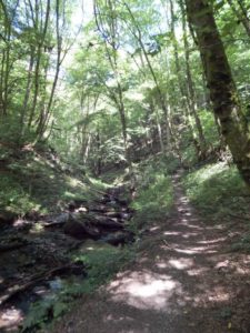 Traumschleife Hunolsteiner Klammtour Wanderung Hunsrück