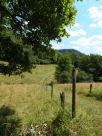 Traumschleife Hunolsteiner Klammtour Wanderung Hunsrück