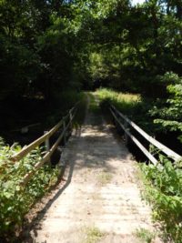 Traumschleife Hunolsteiner Klammtour Wanderung Hunsrück