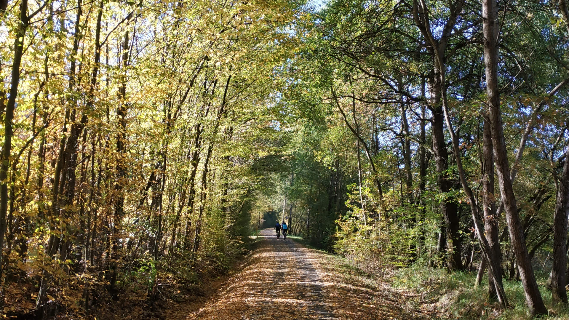 Auf dem Vulkanradweg von Hartmannshain nach Altenstadt-Lindheim