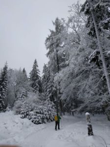 Schneeschuhwanderung Fichtelgebirge Haberstein, Große Kösseine, Burgsteinfelsen, Kaiser-Wilhelm-Felsen