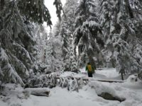 Schneeschuhwanderung Fichtelgebirge Haberstein, Große Kösseine, Burgsteinfelsen, Kaiser-Wilhelm-Felsen