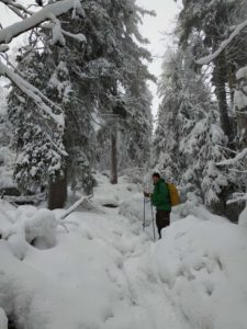 Schneeschuhwanderung Fichtelgebirge Haberstein, Große Kösseine, Burgsteinfelsen, Kaiser-Wilhelm-Felsen