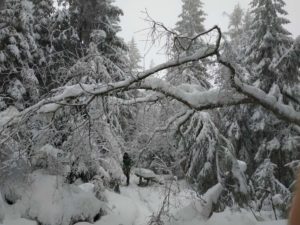 Schneeschuhwanderung Fichtelgebirge Haberstein, Große Kösseine, Burgsteinfelsen, Kaiser-Wilhelm-Felsen