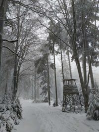 Schneeschuhwanderung Fichtelgebirge Haberstein, Große Kösseine, Burgsteinfelsen, Kaiser-Wilhelm-Felsen