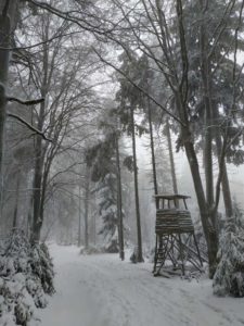 Schneeschuhwanderung Fichtelgebirge Haberstein, Große Kösseine, Burgsteinfelsen, Kaiser-Wilhelm-Felsen