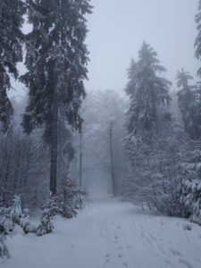 Schneeschuhwanderung Fichtelgebirge Haberstein, Große Kösseine, Burgsteinfelsen, Kaiser-Wilhelm-Felsen