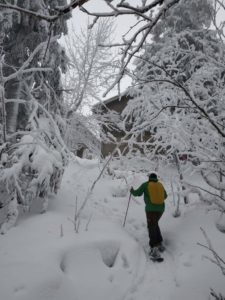 Schneeschuhwanderung Fichtelgebirge Haberstein, Große Kösseine, Burgsteinfelsen, Kaiser-Wilhelm-Felsen