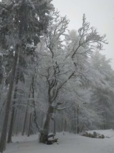 Schneeschuhwanderung Fichtelgebirge Haberstein, Große Kösseine, Burgsteinfelsen, Kaiser-Wilhelm-Felsen