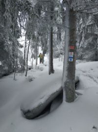 Schneeschuhwanderung Fichtelgebirge Haberstein, Große Kösseine, Burgsteinfelsen, Kaiser-Wilhelm-Felsen