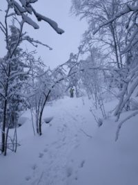 Schneeschuhwanderung Fichtelgebirge Haberstein, Große Kösseine, Burgsteinfelsen, Kaiser-Wilhelm-Felsen